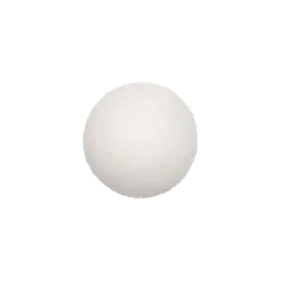 EPONGE KONJAC_BLANCHE