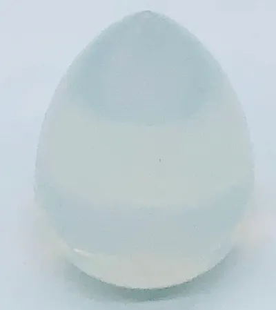 éponge teint translucide 