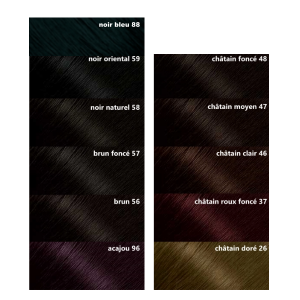 palette couleur bigen